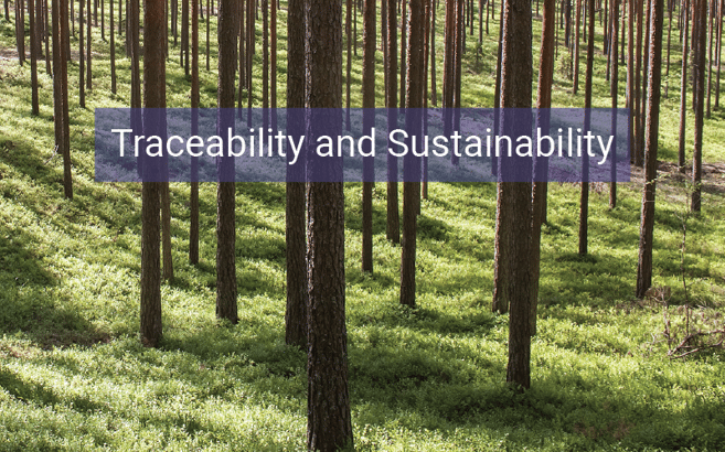 Traceability and Sustainability in the Biomass Supply Chain