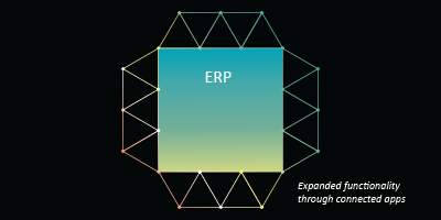 Could your ERP deliver a CTRM solution?